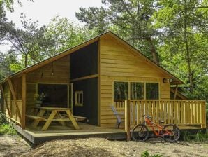 Lodge avec lave-vaisselle, dans un parc de vacances à prox de 3 parcs nationaux - ruines - image1