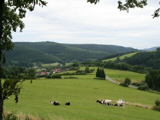 Holiday park Gerolstein Environment 21