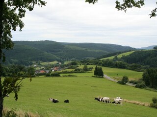 Holiday park Gerolstein Environment 23