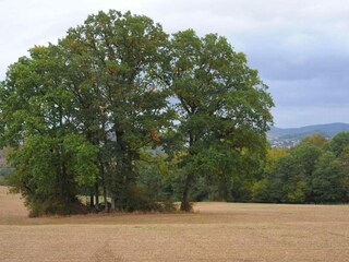 Parc de vacances Gerolstein Environnement 18