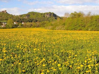 Parc de vacances Gerolstein Environnement 21