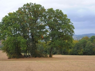 Ferienpark Gerolstein Umgebung 15