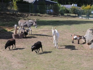 Parc de vacances Gerolstein  23