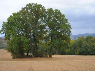Parc de vacances Gerolstein Environnement 23
