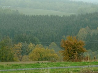 Parc de vacances Gerolstein Environnement 18