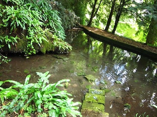 Ferienpark Serrières-en-Chautagne Außenaufnahme 7