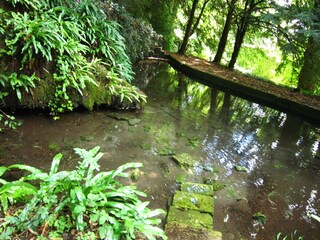 Parc de vacances Serrières-en-Chautagne Enregistrement extérieur 3