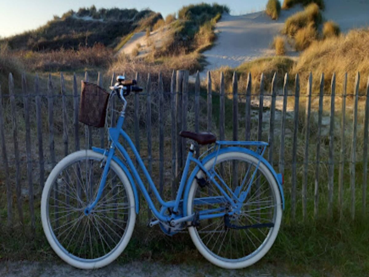 Ferienpark Cayeux-sur-Mer Umgebung 15