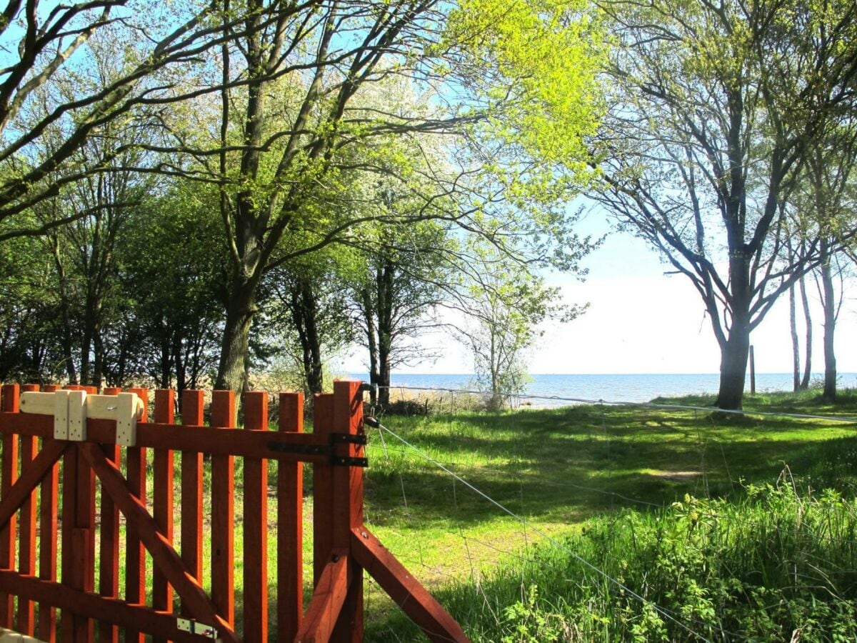 Parque de vacaciones Nowe Warpno Grabación al aire libre 1