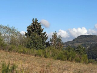 Parco vacanze Gerolstein Registrazione all'aperto 4