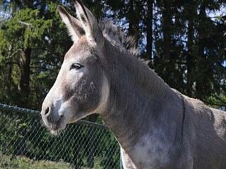 Ferienpark Gerolstein  38
