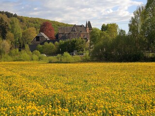 Vakantiepark Gerolstein Omgeving 16