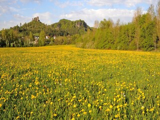 Vakantiepark Gerolstein Omgeving 17