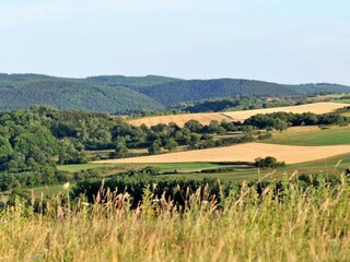 Vakantiepark Gerolstein Omgeving 14