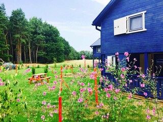 Holiday park Nowe Warpno Outdoor Recording 5