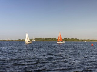 Ferienpark Veere Umgebung 35