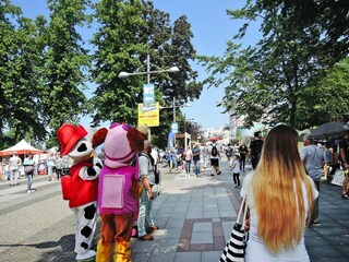 Parque de vacaciones Misdroy Entorno 23