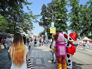 Parco vacanze Misdroy Ambiente 30