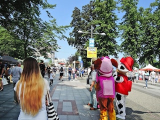 Vakantiepark Misdroy Omgeving 30