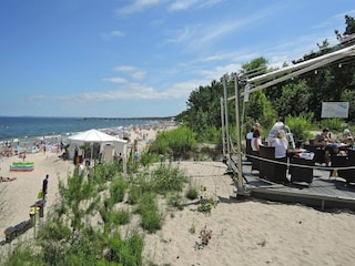 Parc de vacances Misdroy Environnement 32
