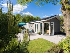 Holiday park Chalet in einem Ferienpark Park De Veluwe - Lunteren - image1