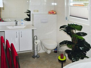 Casa per le vacanze Dümmer (Mecklenburg) Caratteristiche 12