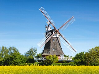 Vakantiehuis Oldsum auf Föhr Omgeving 23