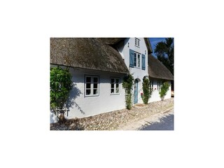 Holiday house Oldsum auf Föhr Outdoor Recording 2