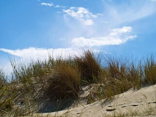 Casa per le vacanze Oldsum auf Föhr Ambiente 20