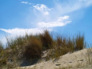 Casa de vacaciones Oldsum auf Föhr Entorno 28