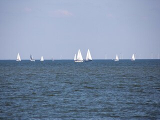 Vakantiepark Enkhuizen Omgeving 24