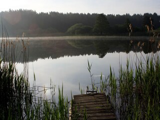 Holiday house Lohmen in Mecklenburg Environment 16