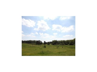 Holiday house Lohmen in Mecklenburg Outdoor Recording 2