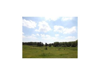 Holiday house Lohmen in Mecklenburg Outdoor Recording 2