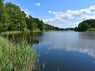 Holiday house Lohmen in Mecklenburg Environment 29