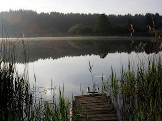 Ferienhaus Lohmen in Mecklenburg Umgebung 32