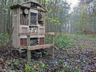 Ferienpark Viroinval Außenaufnahme 9