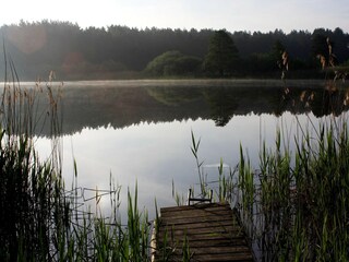 Vakantiehuis Lohmen in Mecklenburg Omgeving 12