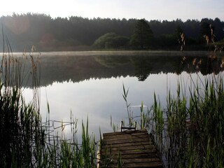 Holiday house Lohmen in Mecklenburg Environment 14