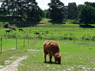 Vakantiehuis Lohmen in Mecklenburg Omgeving 35