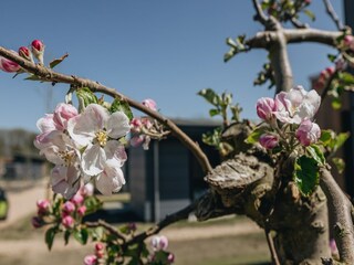 Holiday park Hem  36