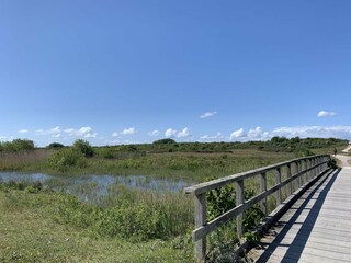 Parc de vacances Ouddorp Environnement 27