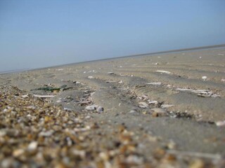 Vakantiepark Ouddorp Omgeving 27