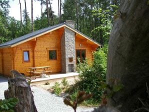 Ferienpark Modernes Chalet mit Kaminofen im Wald gelegen - Viroinval - image1