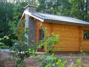 Ferienpark Modernes Chalet mit Kaminofen im Wald gelegen - Viroinval - image1