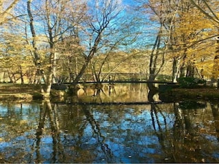 Ferienpark Viroinval Umgebung 25