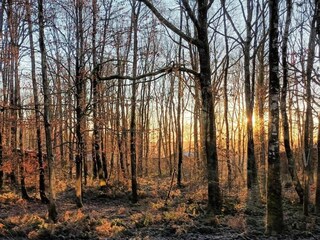 Parc de vacances Viroinval Environnement 16