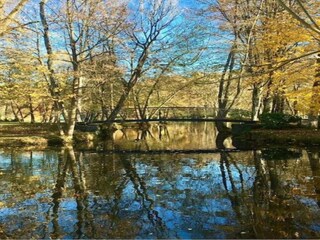Parc de vacances Viroinval Environnement 20