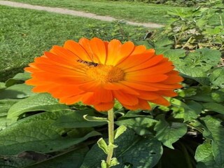 Vakantiepark Viroinval Omgeving 27