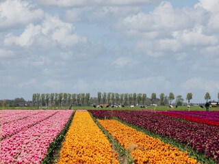 Vakantiepark Hem Omgeving 12
